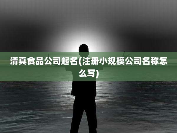 清真食品公司起名(注册小规模公司名称怎么写)