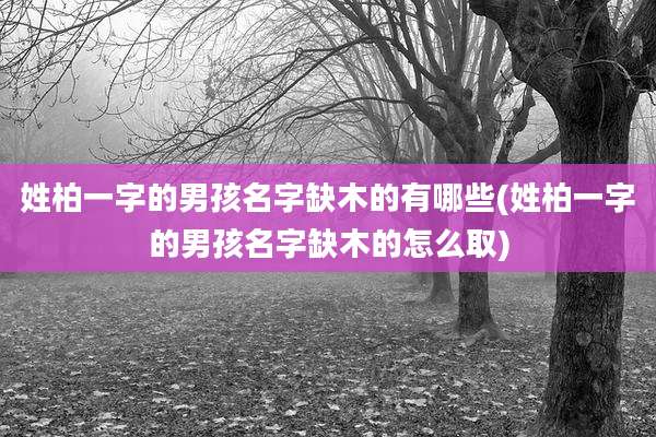 姓柏一字的男孩名字缺木的有哪些(姓柏一字的男孩名字缺木的怎么取)