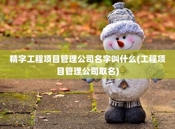 精字工程项目管理公司名字叫什么(工程项目管理公司取名)