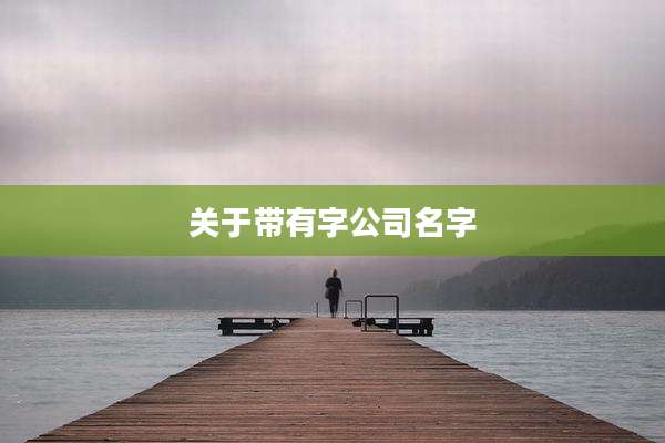 关于带有字公司名字