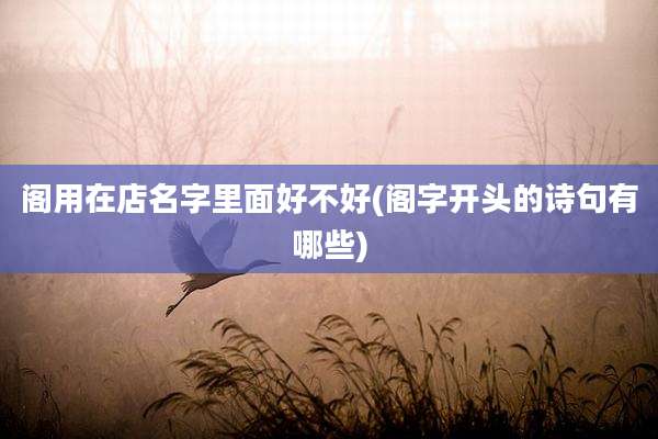 阁用在店名字里面好不好(阁字开头的诗句有哪些)