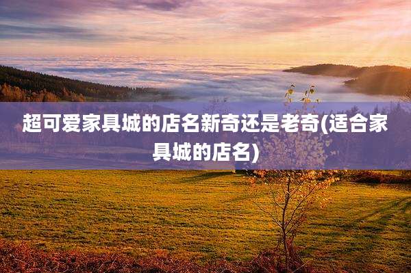超可爱家具城的店名新奇还是老奇(适合家具城的店名)