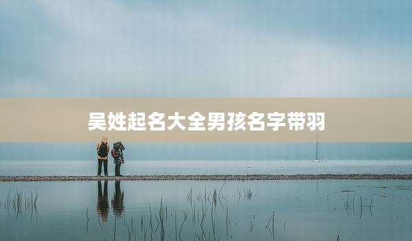吴姓起名大全男孩名字带羽