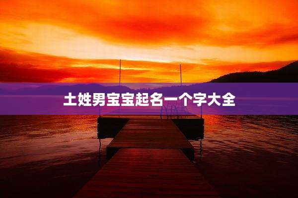 土姓男宝宝起名一个字大全