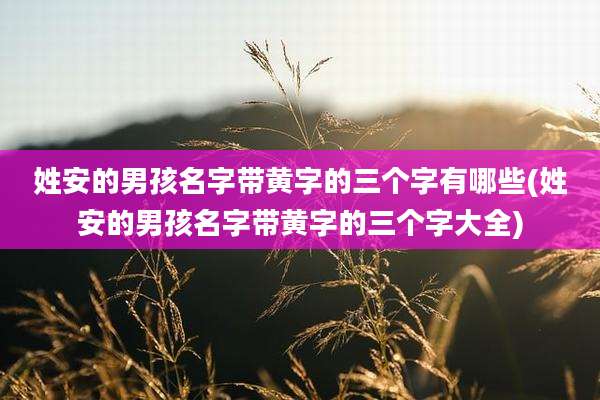 姓安的男孩名字带黄字的三个字有哪些(姓安的男孩名字带黄字的三个字大全)