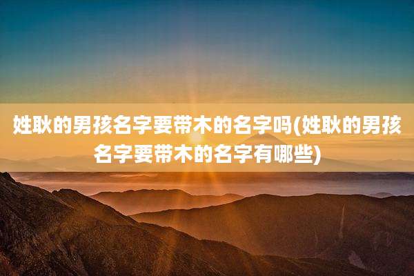 姓耿的男孩名字要带木的名字吗(姓耿的男孩名字要带木的名字有哪些)