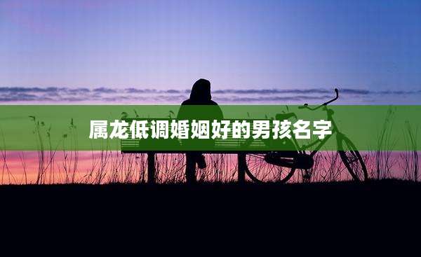 属龙低调婚姻好的男孩名字
