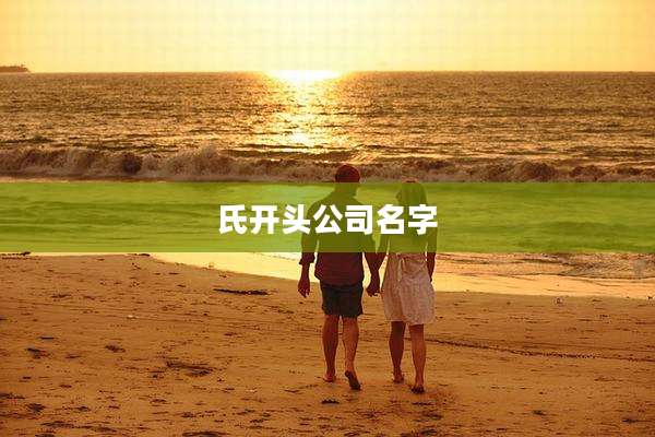 氏开头公司名字