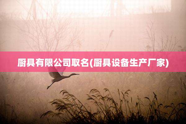 厨具有限公司取名(厨具设备生产厂家)