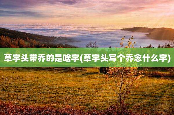 草字头带乔的是啥字(草字头写个乔念什么字)