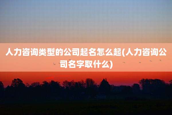 人力咨询类型的公司起名怎么起(人力咨询公司名字取什么)