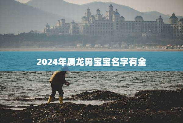2024年属龙男宝宝名字有金