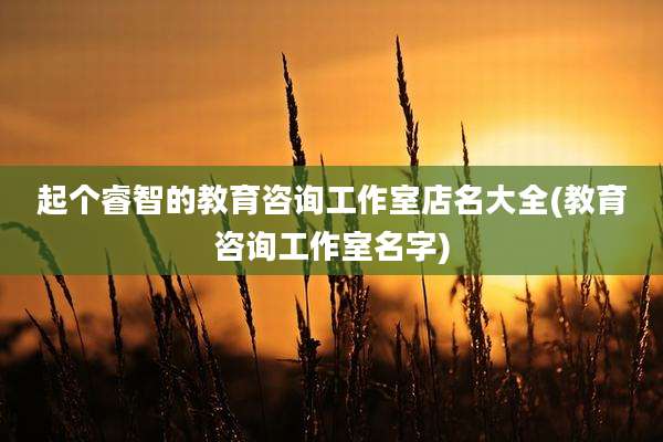 起个睿智的教育咨询工作室店名大全(教育咨询工作室名字)