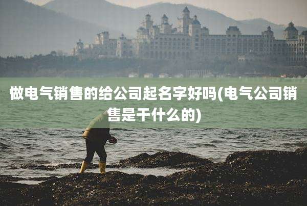 做电气销售的给公司起名字好吗(电气公司销售是干什么的)