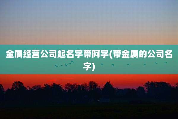 金属经营公司起名字带阿字(带金属的公司名字)