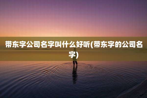 带东字公司名字叫什么好听(带东字的公司名字)