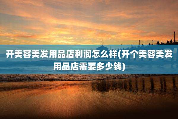 开美容美发用品店利润怎么样(开个美容美发用品店需要多少钱)