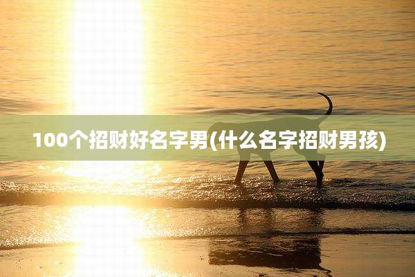 100个招财好名字男(什么名字招财男孩)