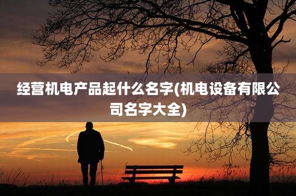 经营机电产品起什么名字(机电设备有限公司名字大全)