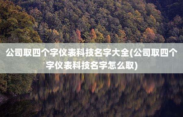 公司取四个字仪表科技名字大全(公司取四个字仪表科技名字怎么取)