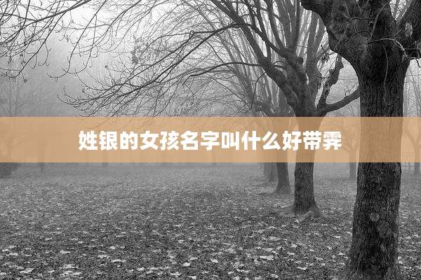 姓银的女孩名字叫什么好带霁