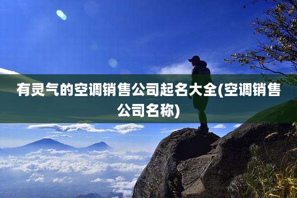 有灵气的空调销售公司起名大全(空调销售公司名称)