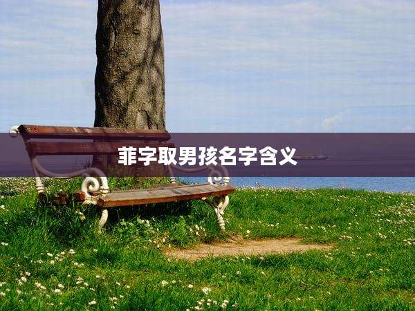 菲字取男孩名字含义