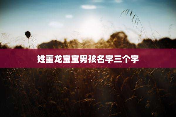 姓董龙宝宝男孩名字三个字