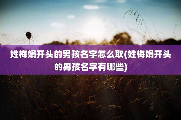 姓梅娟开头的男孩名字怎么取(姓梅娟开头的男孩名字有哪些)