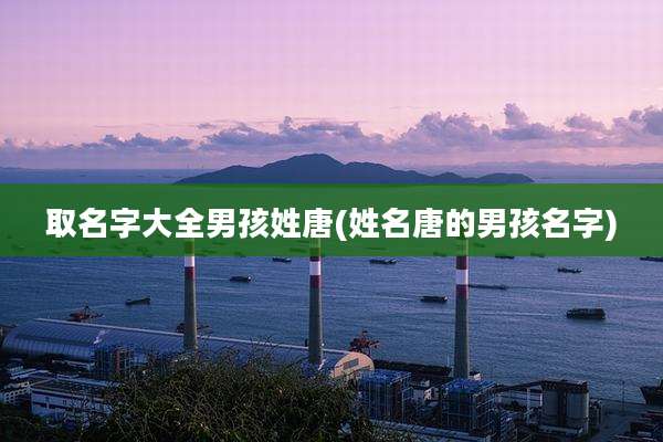 取名字大全男孩姓唐(姓名唐的男孩名字)