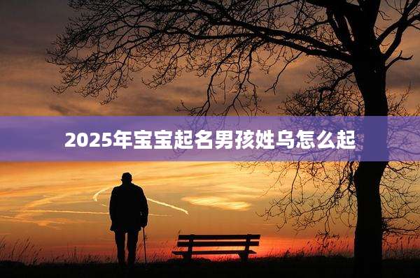 2025年宝宝起名男孩姓乌怎么起