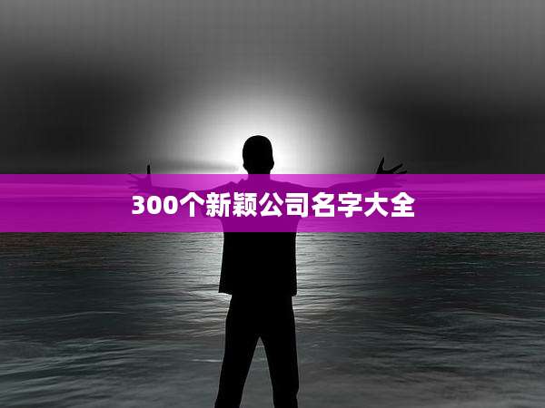300个新颖公司名字大全