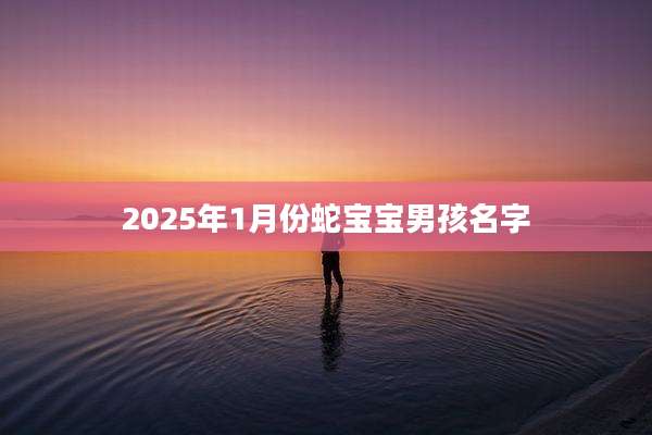 2025年1月份蛇宝宝男孩名字