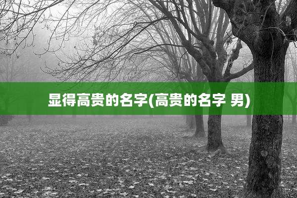 显得高贵的名字(高贵的名字 男)
