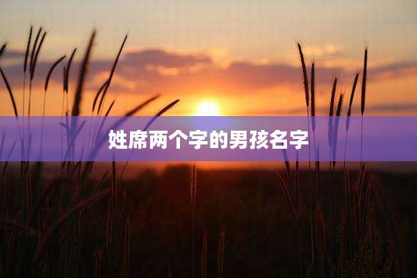 姓席两个字的男孩名字