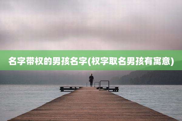 名字带权的男孩名字(权字取名男孩有寓意)