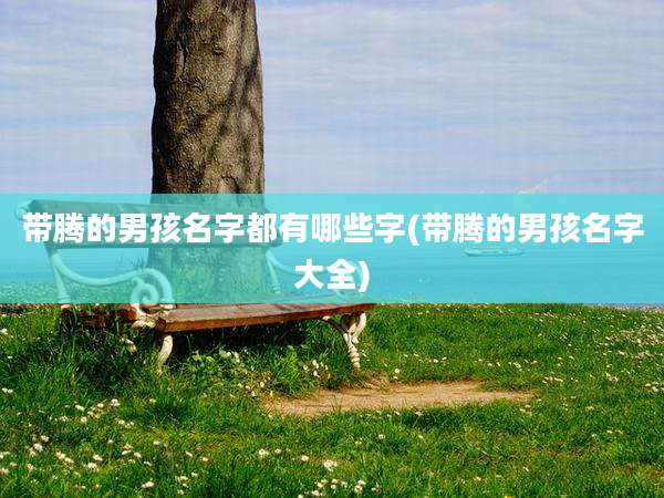 带腾的男孩名字都有哪些字(带腾的男孩名字大全)