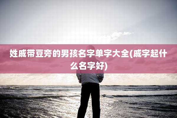 姓戚带豆旁的男孩名字单字大全(戚字起什么名字好)