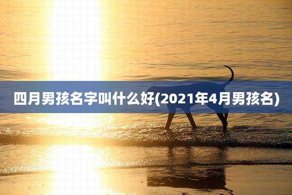 四月男孩名字叫什么好(2021年4月男孩名)