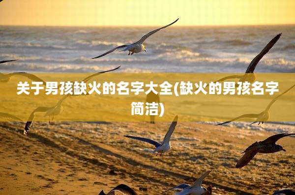 关于男孩缺火的名字大全(缺火的男孩名字简洁)