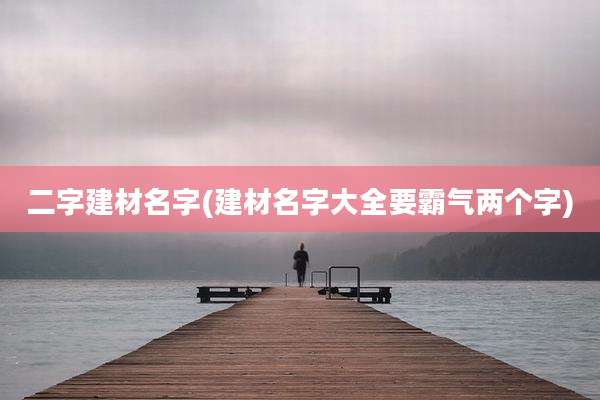二字建材名字(建材名字大全要霸气两个字)