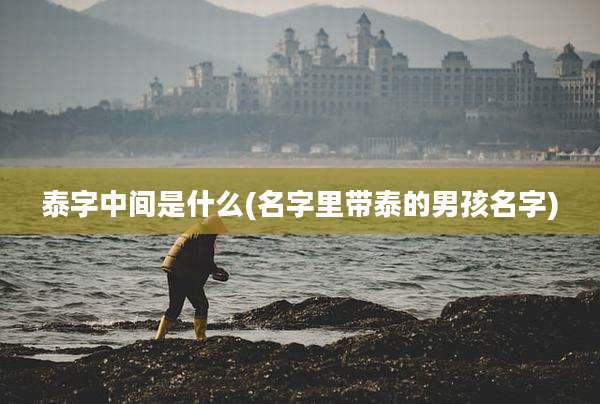 泰字中间是什么(名字里带泰的男孩名字)