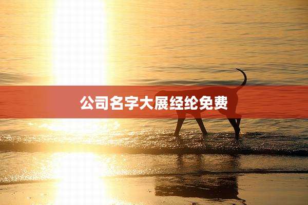 公司名字大展经纶免费