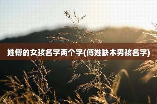 姓傅的女孩名字两个字(傅姓缺木男孩名字)