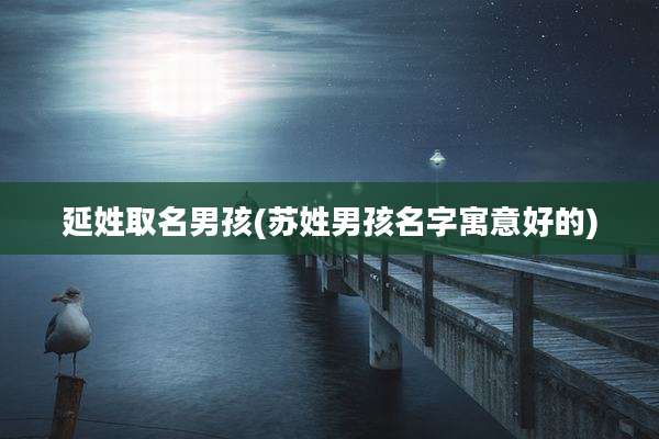 延姓取名男孩(苏姓男孩名字寓意好的)