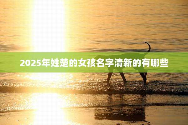 2025年姓楚的女孩名字清新的有哪些
