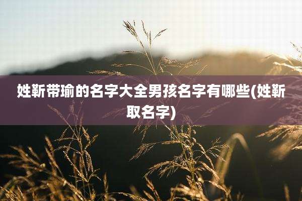 姓靳带瑜的名字大全男孩名字有哪些(姓靳取名字)