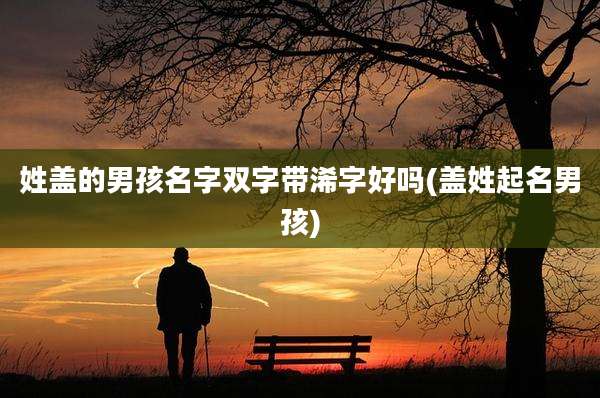 姓盖的男孩名字双字带浠字好吗(盖姓起名男孩)
