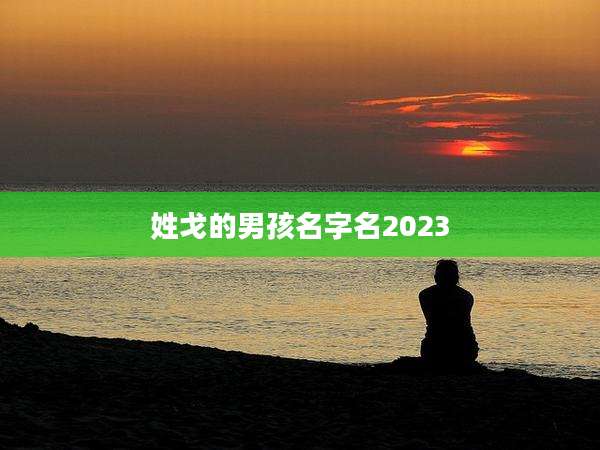 姓戈的男孩名字名2023