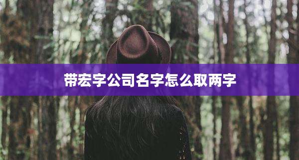 带宏字公司名字怎么取两字